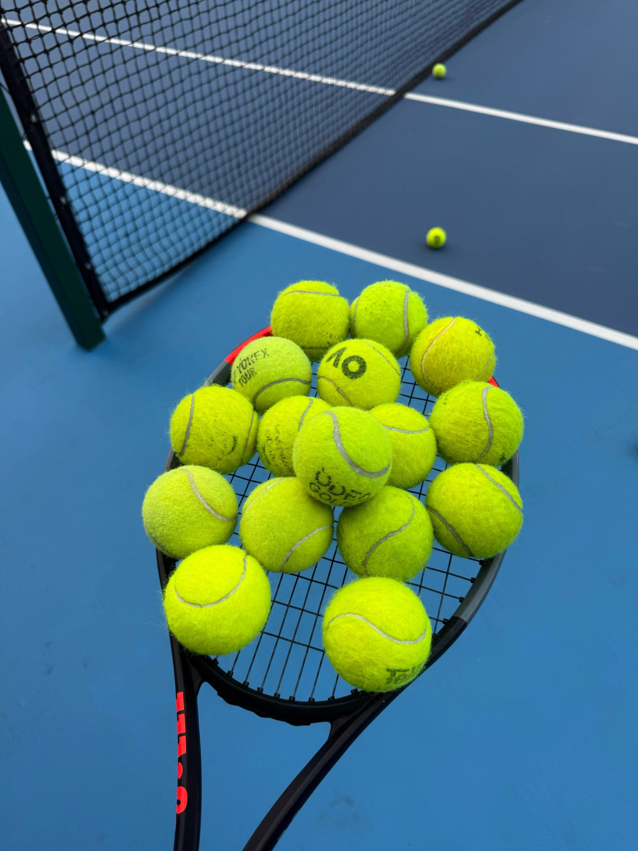 周诗媛的参 周诗媛的参