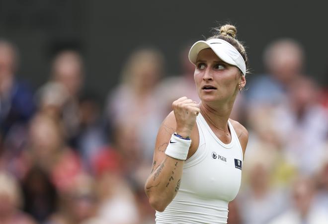 的巨星人选 的巨星人选