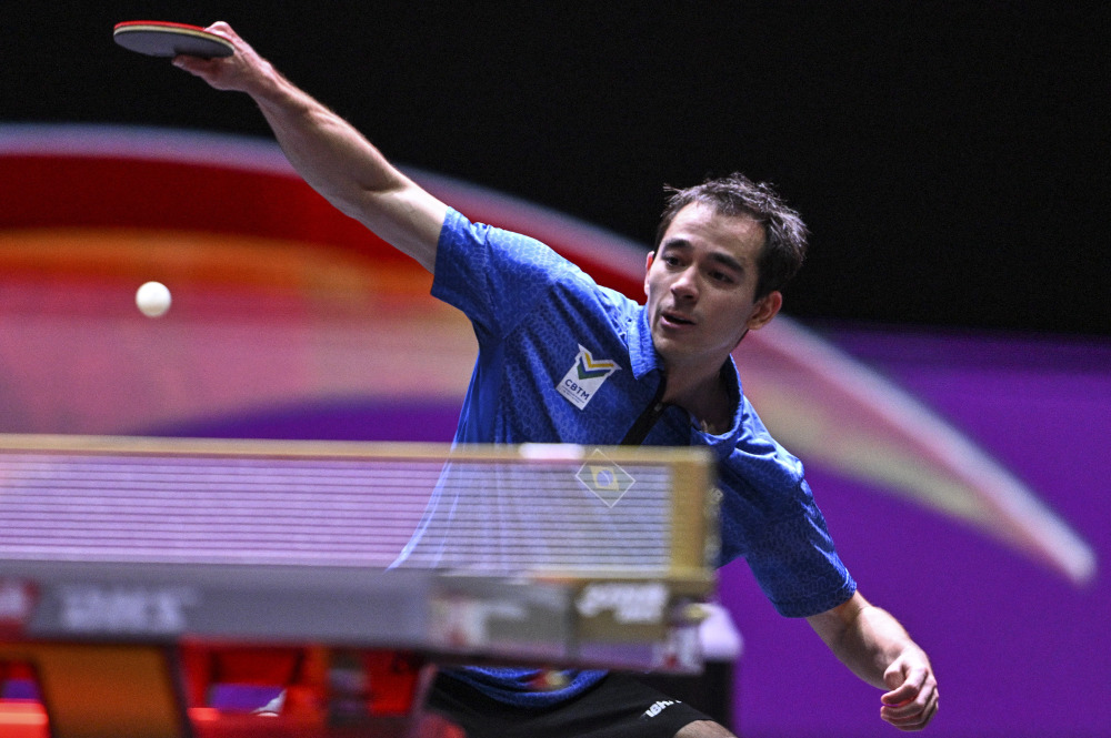 凭借敏捷的 凭借敏捷的