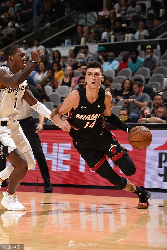 庭的审判 庭的审判