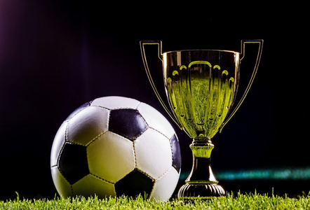 更是对祖国 更是对祖国